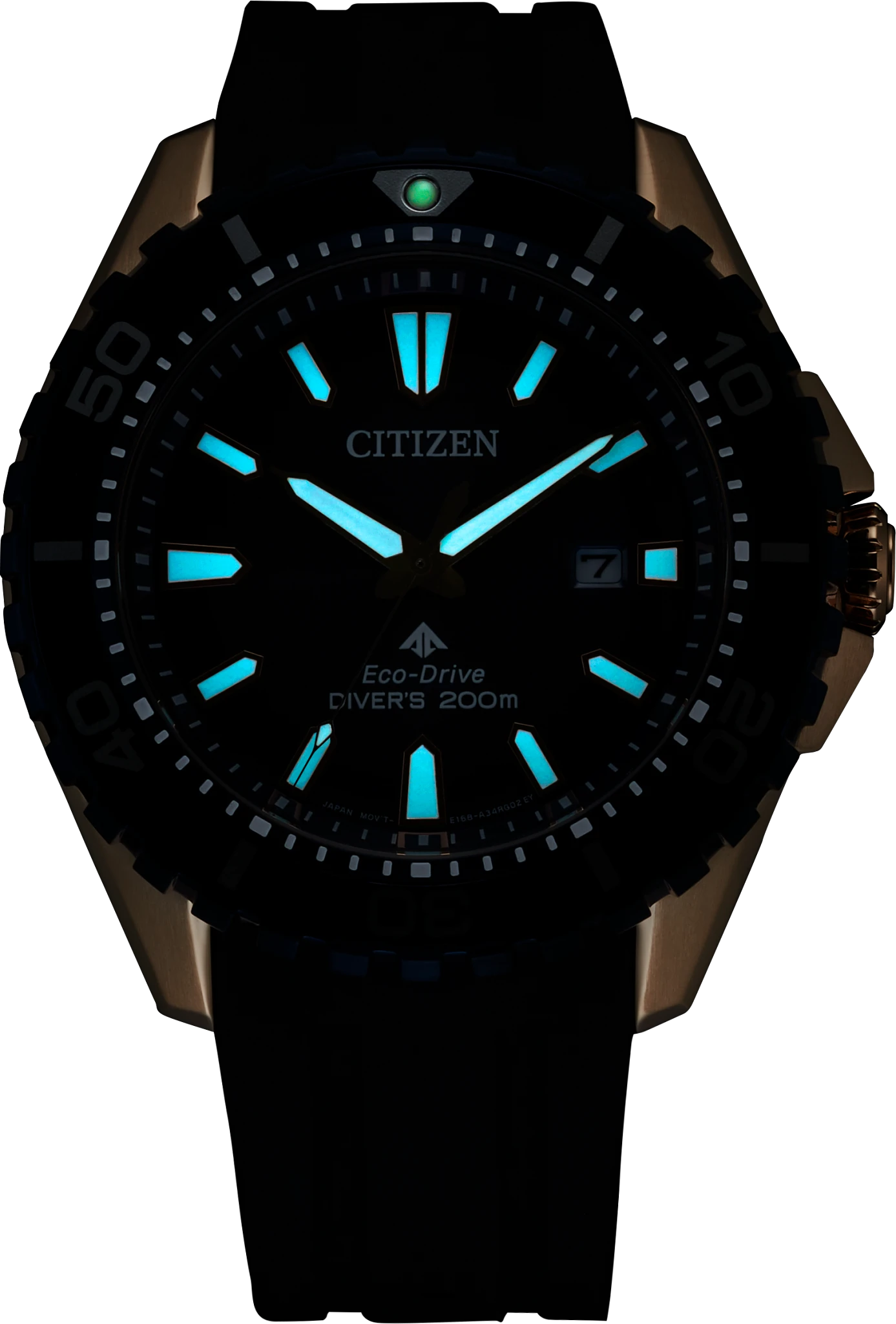 Promaster Dive Blue Dial Polyurethane Strap BN0196-01L | CITIZEN